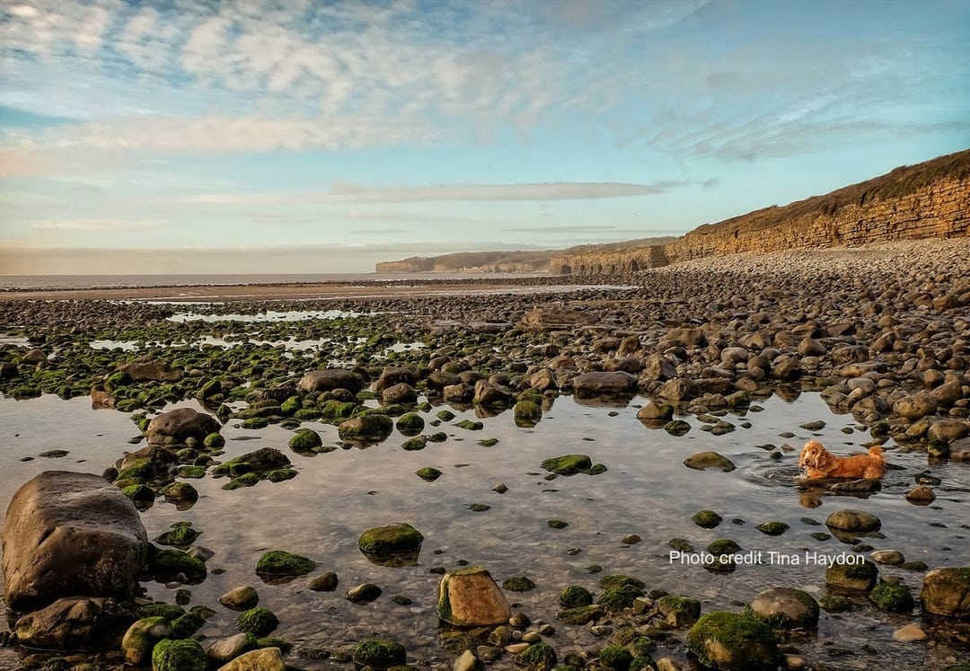 llantwit-major-beach-cwm-colhuw-visit-the-vale